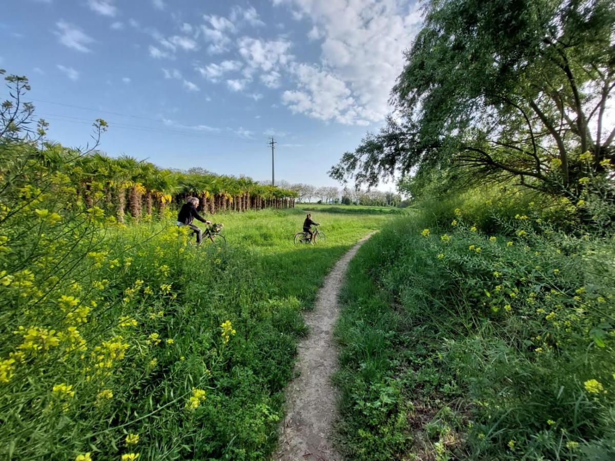 B&B Sotto Le Palme Molino Ciccolini ภายนอก รูปภาพ